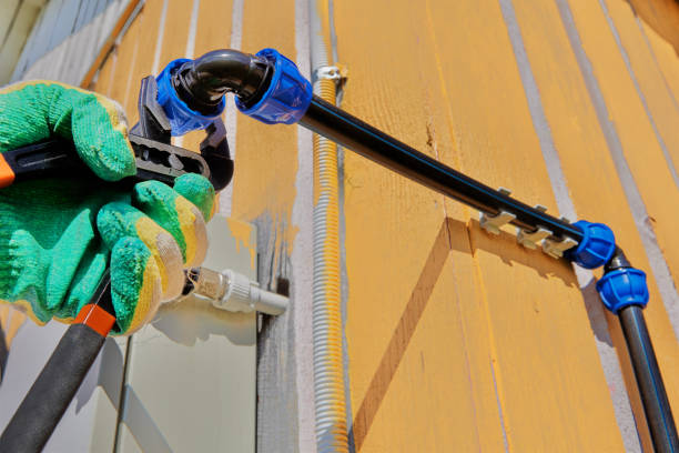 Best Drain Cleaning Services  in Paulden, AZ